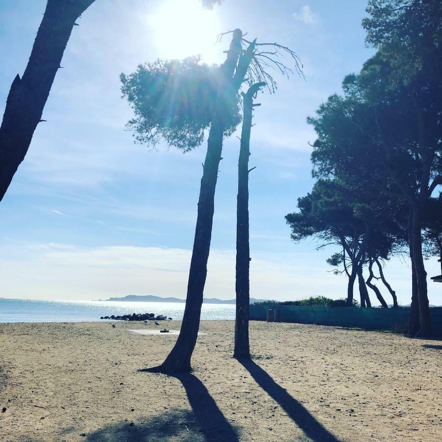 Port Les Palmiers Apartment Hyeres
