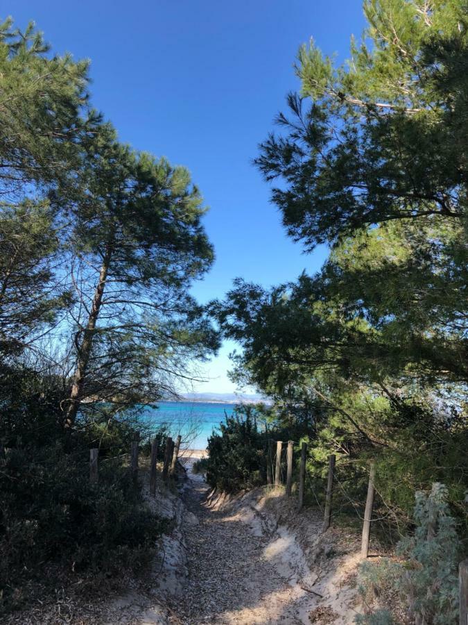 Port Les Palmiers *