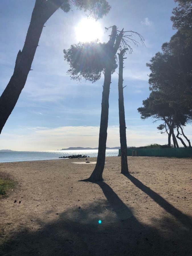 Port Les Palmiers Apartment