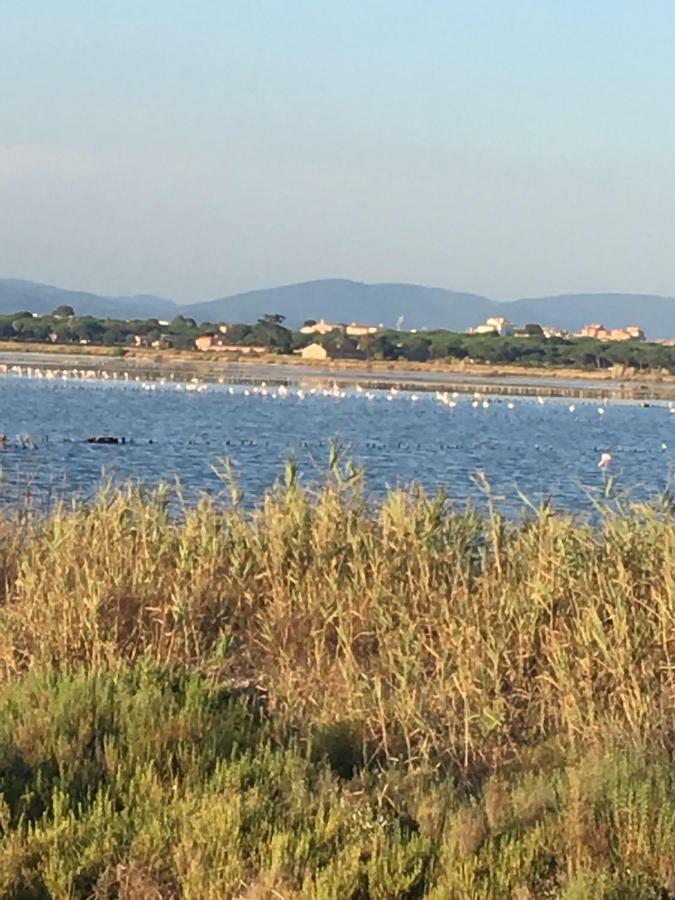 Port Les Palmiers